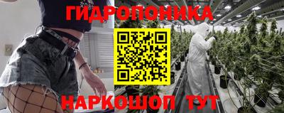 шишки Ирбит