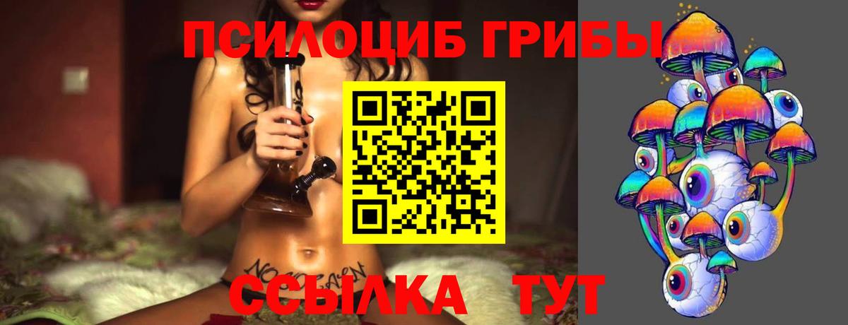 Лесной  где можно купить   Вход с VPN  Псилоцибиновые грибы мицелий 